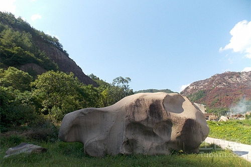 景觀石廠家推薦