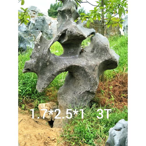 陽泉公園太湖石擺件風景石