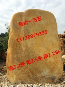 園林黃蠟石 假山石 刻字黃蠟石 廣東黃蠟石