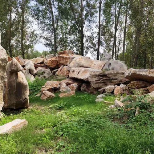 園林景觀石的多樣應(yīng)用與批發(fā)指南