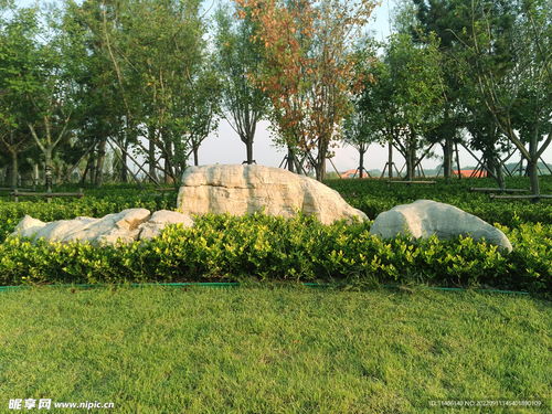 公園景觀石的藝術(shù)之美 攝影與欣賞