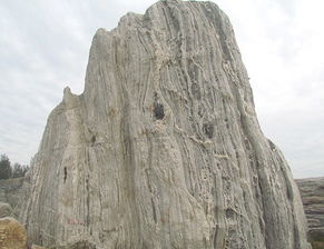 園林景觀石雕刻選購指南 價格、型號規格與品質保證