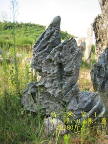 英德石 優質景觀石供應與園林造景的藝術