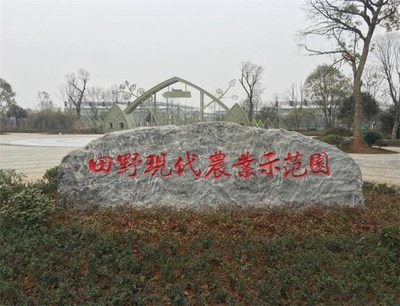 武漢景觀石 城市肌理中的自然印記